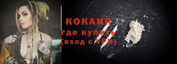 дживик Белокуриха
