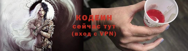 дживик Белокуриха