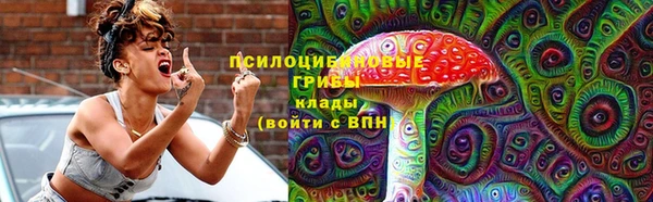 стаф Беломорск