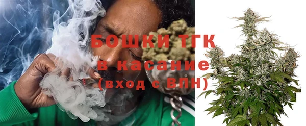 дживик Белокуриха