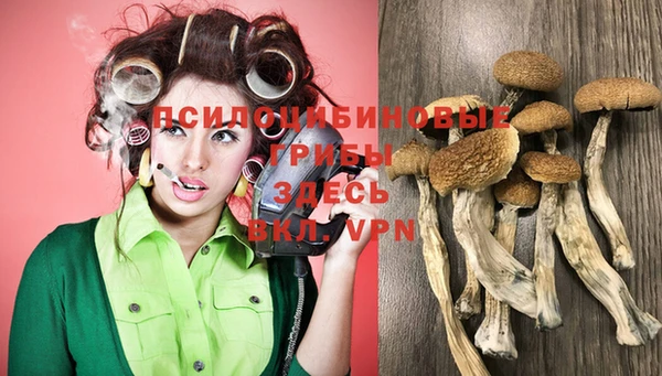 spice Белоозёрский