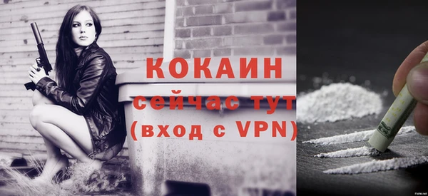 дживик Белокуриха